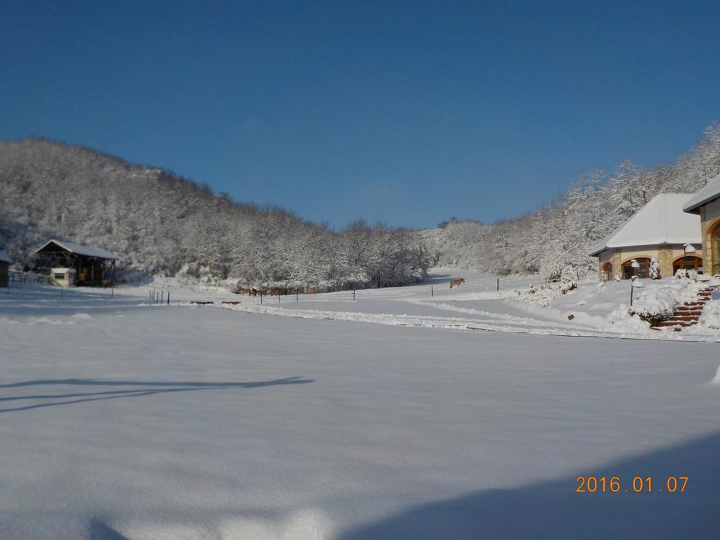 Naspolya Panzio Es Etterem Bed and Breakfast Bátaapáti Buitenkant foto